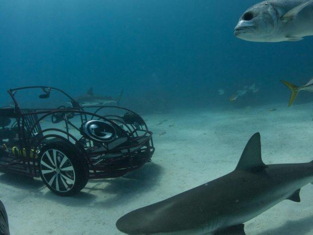 Кабриолет VW Beetle прокатится по морскому дну в компании акул