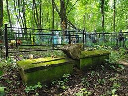 Посетителей московских кладбищ перевезут на электрокарах
